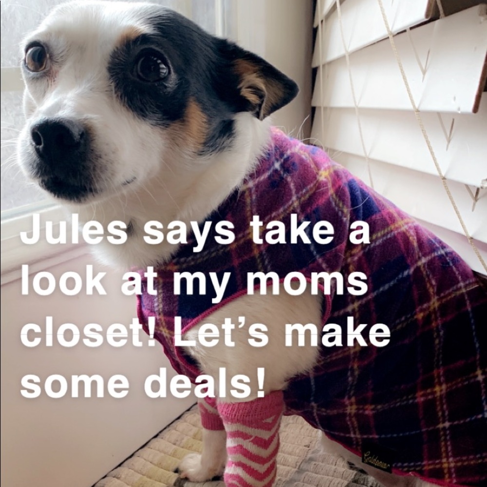 😀 my dog wants you to check out my closet!!!!!!!